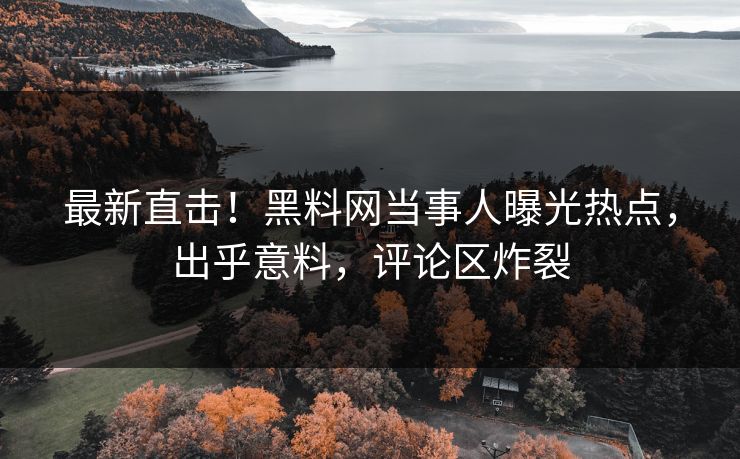 最新直击！黑料网当事人曝光热点，出乎意料，评论区炸裂