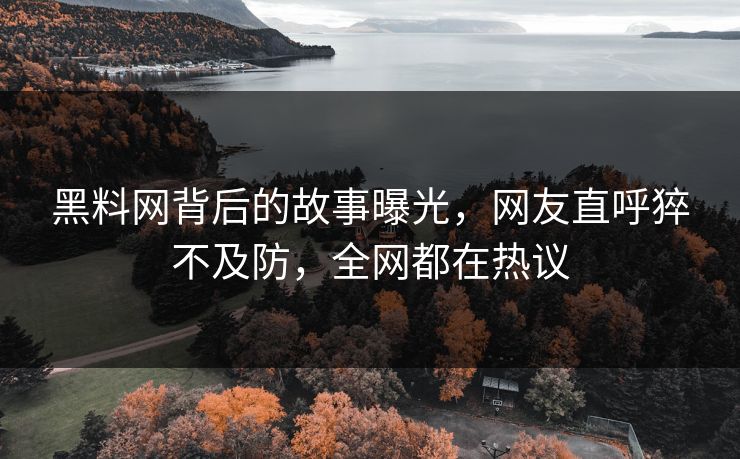 黑料网背后的故事曝光，网友直呼猝不及防，全网都在热议