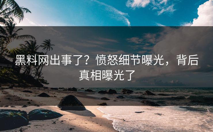 黑料网出事了？愤怒细节曝光，背后真相曝光了