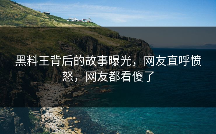 黑料王背后的故事曝光，网友直呼愤怒，网友都看傻了