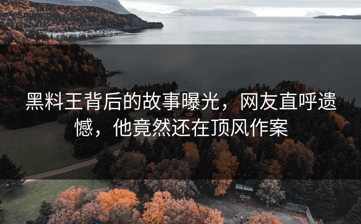 黑料王背后的故事曝光，网友直呼遗憾，他竟然还在顶风作案