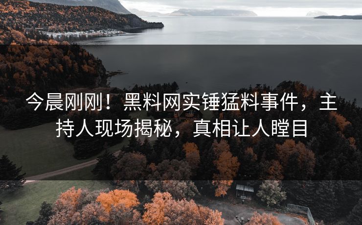 今晨刚刚！黑料网实锤猛料事件，主持人现场揭秘，真相让人瞠目